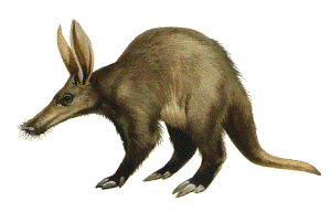 Irving Middle School mascot, the aardvark
