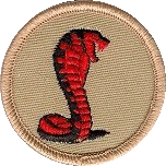 Cobra Patrol patch