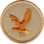 Flying Eagle Scout Patrol patch