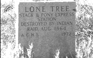 Lone Tree marker near the county road